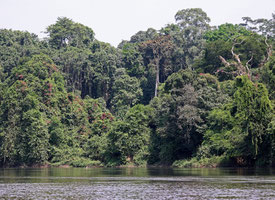 Reserve du DJA