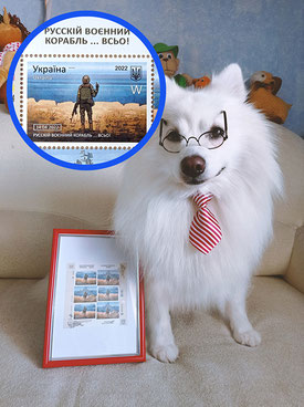 charity online auction, support, the Armed Forces of Ukraine, pets, Ukraine, donate, Ukrainian volunteer, a dog volunteer, Simba, postage stamps, Russian Warship done, Japanese Spitz, white dogs