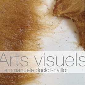 Art contemporain / emmanuèle duclot-haillot. Jimdo.com