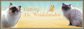 Cattery de weidelanden