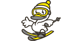 新潟でスキー合宿する白鳥