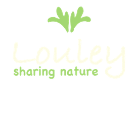 Site de chevaux-louley !