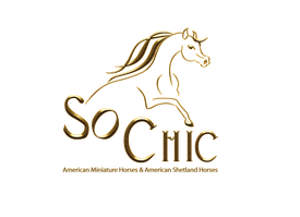 Chevaux Miniatures Americains