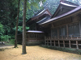 黄金の絨毯