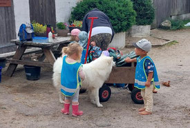 Deutscher Spitz Kinderlieb Familienhund