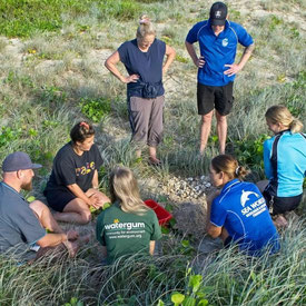 Volunteers digging at a nest site on the Gold Coast. Photo supplied.