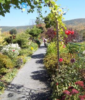 A Profusion of Spring Blooms on either side of the walkway