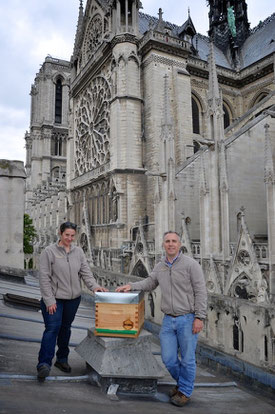 Nicolas Géant et sa collaboratrice apicultrice chargée du suivi de la ruche tout au long de l’année. © NDP