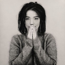 Dictée - JOGA de BJORK portrait