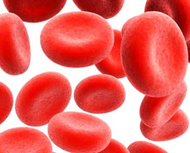 Dieta per l’Anemia: alimenti consigliati e integratori