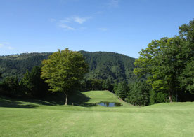 小田原ゴルフ倶楽部松田コース (名物ホール) 7番 PAR5