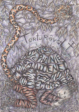 Stéphanie Sautenet  shamanic book