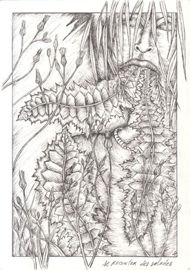 Stéphanie Sautenet  shamanic book