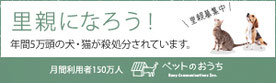 日本、ペットシッタサービス、横浜市中区、関内、阪東橋、猫のお留守番、猫のお世話、老猫、介護、老犬
