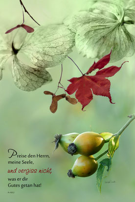 Composing, Psalm 103, Christliche Kunstkarte