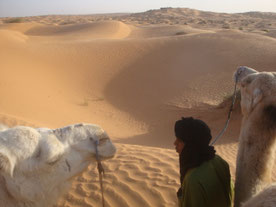 Ksar-Ghilane-Erg-Oriental-kamelen-Sahara-woestijn-oase