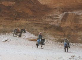 Petra-ezels-vallei-kloof-Jordanië