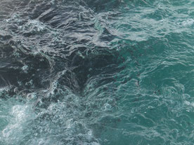 Shark-Cage-diving-grote-witte-haai-Hermanus-Zuid-Afrika-kooi