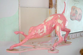 Piggydoghorse, 2006