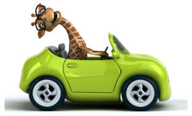 Fahrerlaubnis Klasse B - BF17 - Autoführerschein