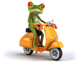 Fahrerlaubnis Klasse AM - Rollerführerschein