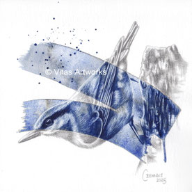 ein Kleiber gemalt mit Aquarellfarben und Bleistift - modernes Originalkunstwerk