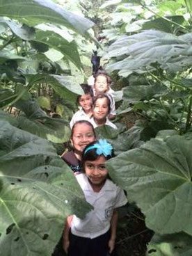Children surrounded by grown green
