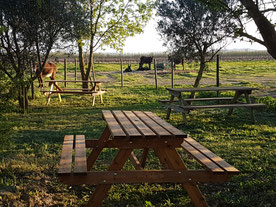 Tables de pique nique à la ferme