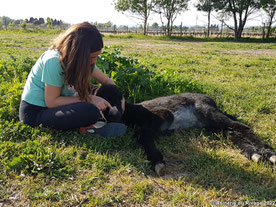 Visite pédagigique d'une ferme à 10 minutes de Narbonne