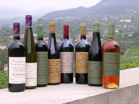Giuseppe Quintarelli Bianco Secco
