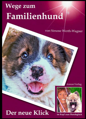 ISBN 9-78398-14115-2-2 