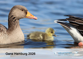 Kalender "Gans Hamburg"