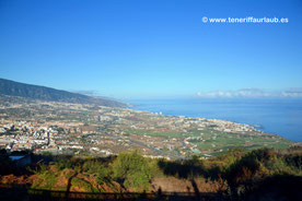 NEU! Mirador Pino Alto