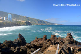 NEU! Charcones Punta Brava