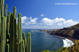 NEU! Mirador Vista Punta del Hidalgo
