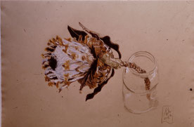 Still life on Ingrès paper with Polychromes pencil (1986)