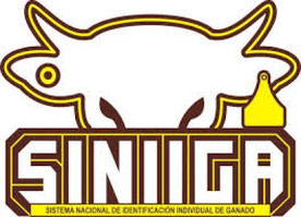 Página web de siniiga