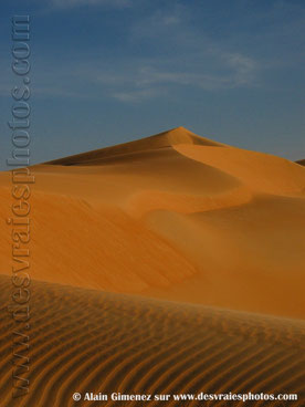 Mauritanie,Afrique,sahara occidental,désert,sable,haute dune,dune pointue,crépuscule,ridules,ciel bleu