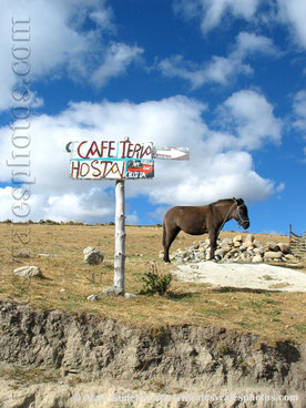 Equateur,amérique sud,montagne,panneau indicateur,ciel bleu,nuages,ane,enclot