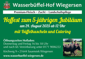 Büffel in Wiegersen Sauensiek