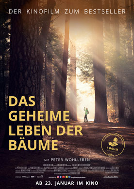 Das geheime Leben der Bäume Plakat