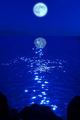 美しい月明かりと海