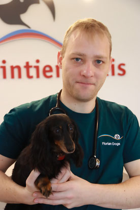 Bild Florian Dogs Tierarzt der Kleintierpraxis Zur alten Ems in Rhede