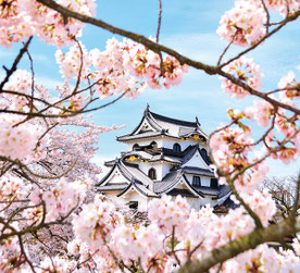 (公社)びわこビジターズビューロー