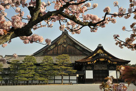 提供:元離宮二条城事務所