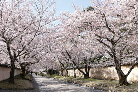 写真提供：醍醐寺