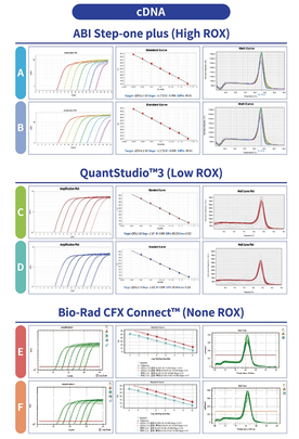 Bio-Star Universal-Flex qPCR Mastermix