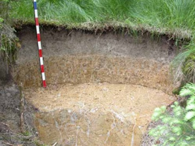 Foto: Bodenprofil, Ludger Herrmann