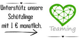 Teaming ist ein Werkzeug, um mit Micro-Spenden von 1€ monatlich wohltätige Zwecke zu unterstützen.