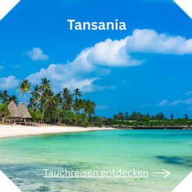 Tauchreise Tansania